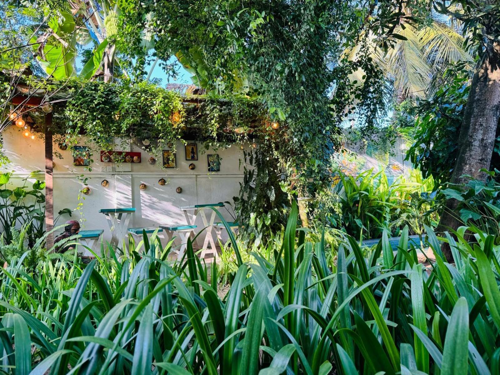 Double Mango Villa Katunayaka Exterior foto