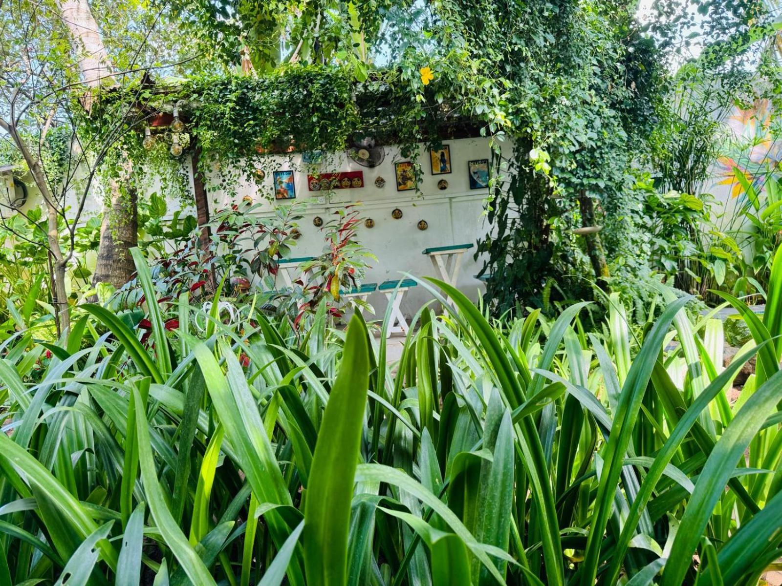 Double Mango Villa Katunayaka Exterior foto